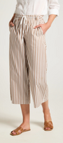 Ari Pant