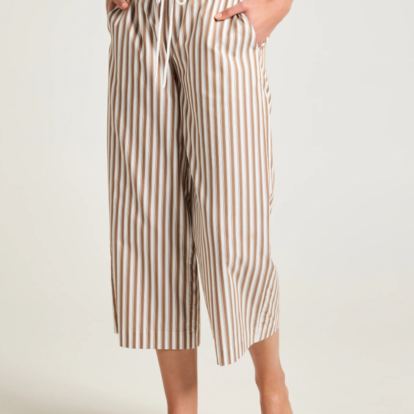 Ari Pant